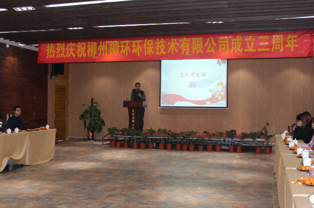 柳環(huán)三周年